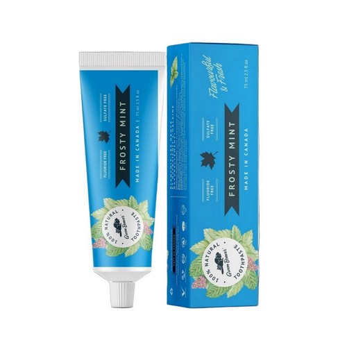 Natural Toothpaste Frosty Mint Frosty Mint 2.5 fl oz by Green Beaver