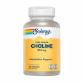 Choline 100 Caps by Solaray