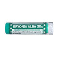 Bryonia Alba 30c 80PC by Ollois