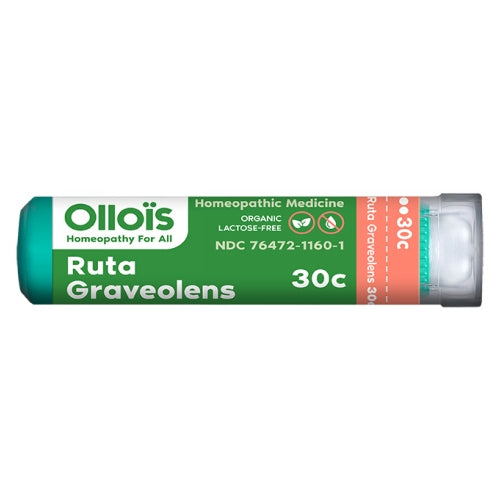 Ruta Graveolens 80PC by Ollois