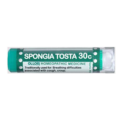 Spongia Tosta 80PC by Ollois