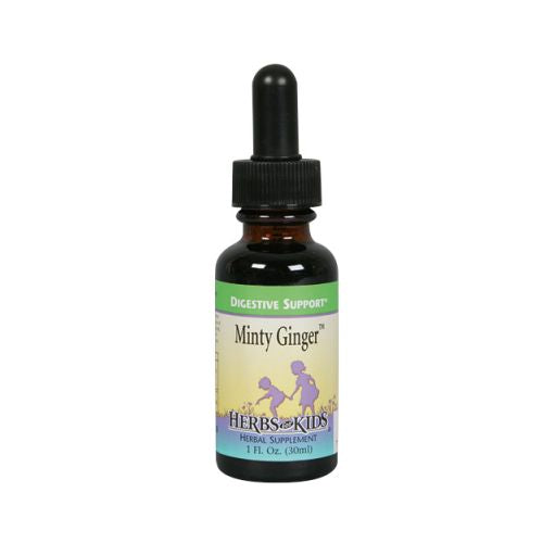Minty Ginger Blend Alcohol-Free Liquid Unflavored, 12 x 1oz by Herbs For Kids