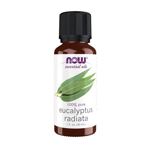 Eucalyptus Radiata 1 Oz by Now Foods