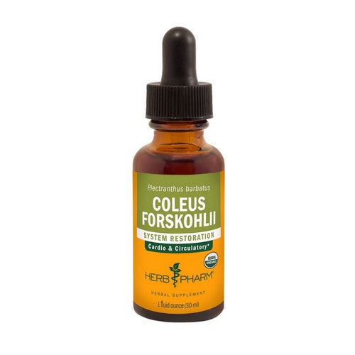 Coleus Forskohlii 1 Oz by Herb Pharm