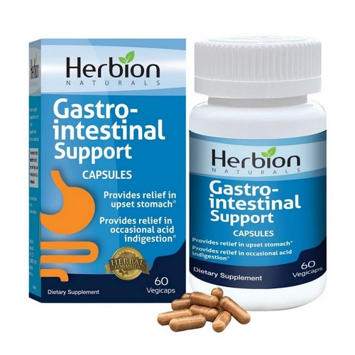G.I. Support 60 VgeCaps by Herbion Naturals