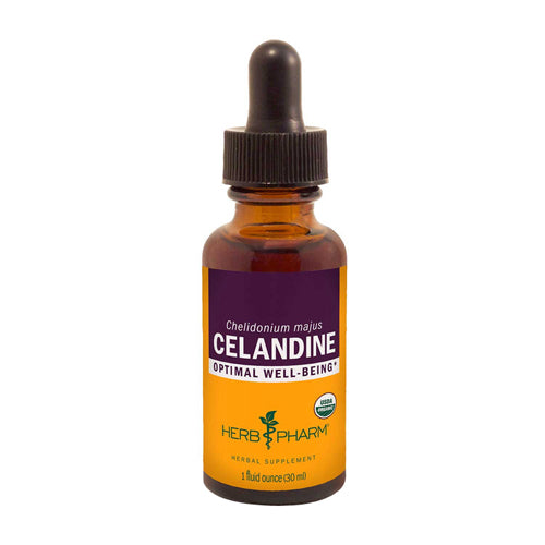Organic Celandine Liquid Extract 1 Oz by Herb Pharm