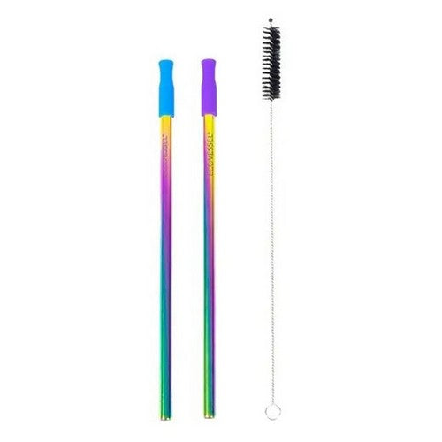 Rainbow Straw Set 2 Count by EcoVessel