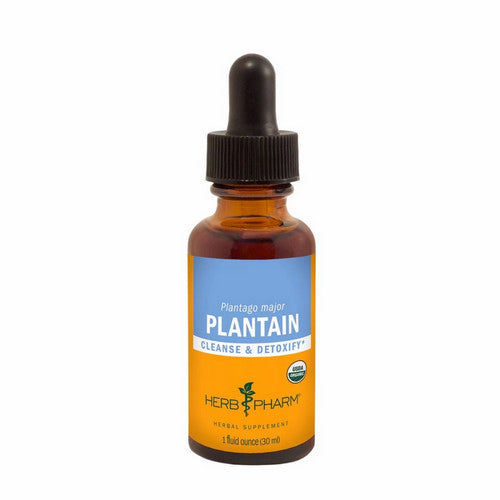 Plantain Extract 1 Oz by Herb Pharm
