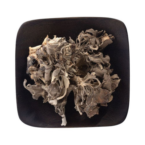 Organic Maitake Mushrooms Dried Slices 0.25 Lb by Frontier Co-op