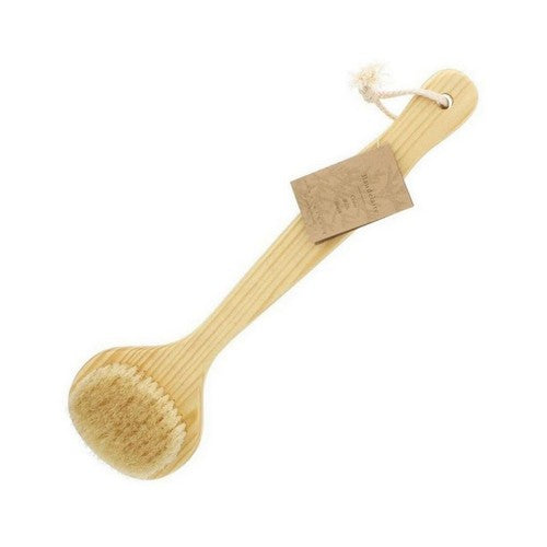 Cedar 13 inch Bath Brush 1 Count by Baudelaire