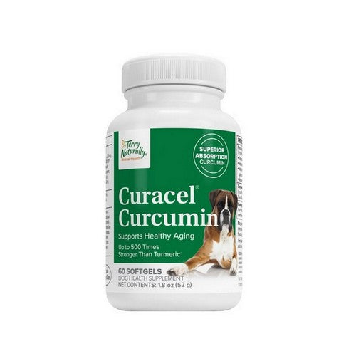 Curacel Curcumin 60 Softgels by Terry Naturally