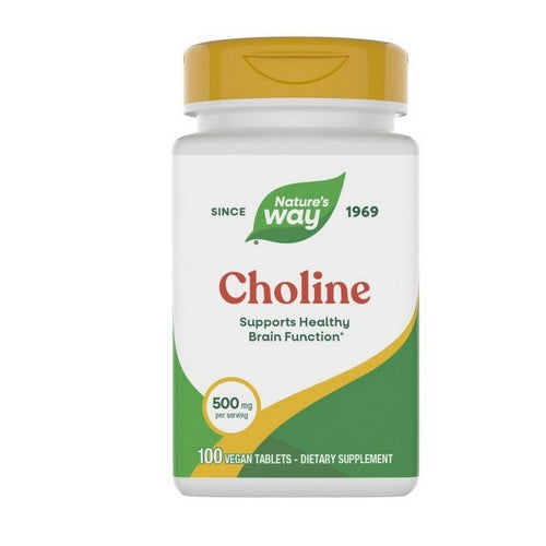 Choline 100 Tabs by Nature's Way