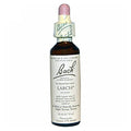 Flower Essence Larch 20 ML by Bach