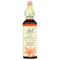 Flower Essence Red Chestnut 20 ML by Bach