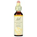 Flower Essence Scleranthus 20 ML by Bach