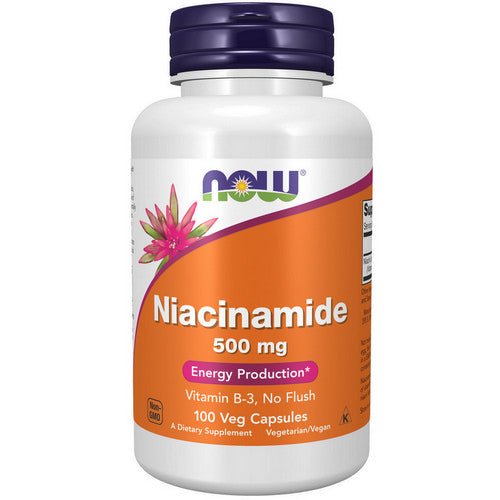 Niacinamide 100 Caps by Now Foods
