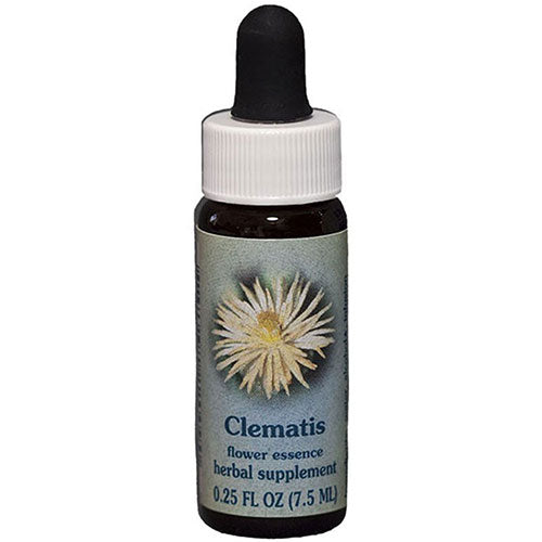 Clematis Dropper 0.25 oz by Flower Essence Services