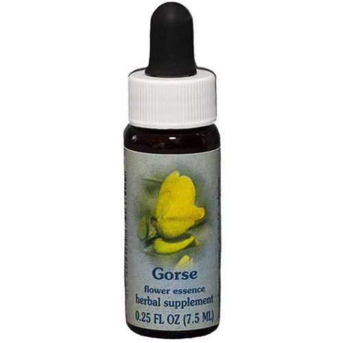 Gorse Dropper 0.25 oz by Flower Essence Services