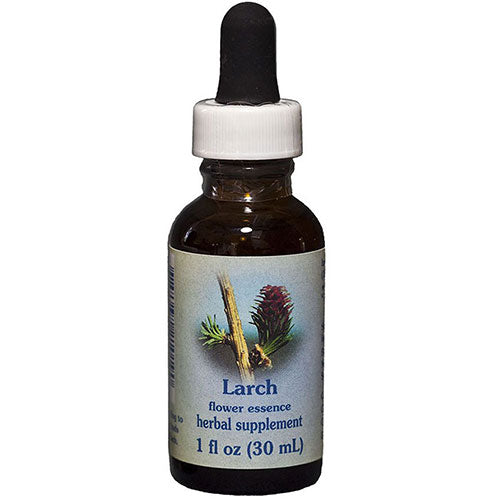 Larch Dropper 0.25 oz by Flower Essence Services