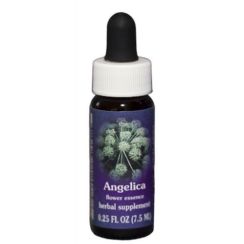 Angelica Essence 0.25 Oz by Flower Essence Services