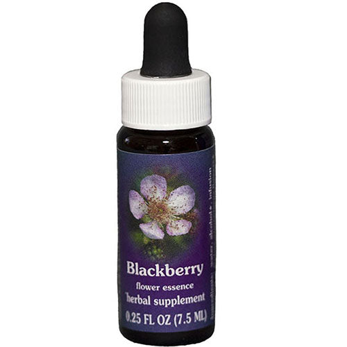 Blackberry Dropper 0.25 oz by Flower Essence Services