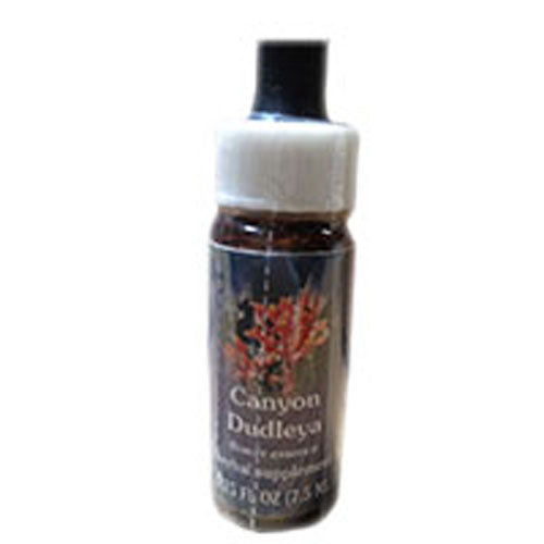 Canyon Dudleya Dropper 0.25 oz by Flower Essence Services