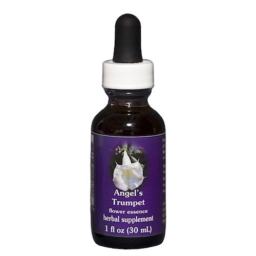 Angels Trumpet Dropper 1 oz by Flower Essence Services