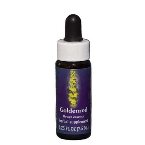 Goldenrod Dropper 1 oz by Flower Essence Services