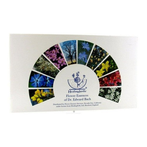 Services Healing Herbs Kit  40 Pieces by Flower Essence Services