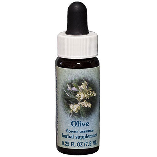 Olive Dropper 0.25 oz by Flower Essence Services