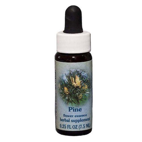 Pine Dropper 0.25 oz by Flower Essence Services