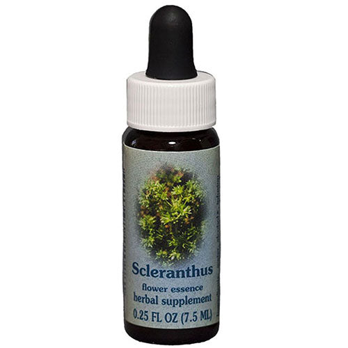 Scleranthus Dropper 0.25 oz by Flower Essence Services