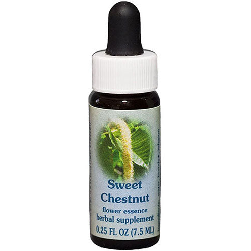 Sweet Chestnut Dropper 0.25 oz by Flower Essence Services