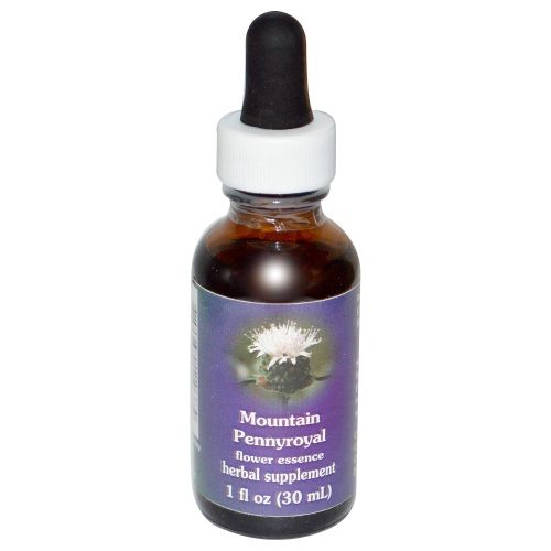 Mountain Pennyroyal Dropper 0.25 oz by Flower Essence Services