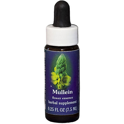 Mullein Dropper 0.25 oz by Flower Essence Services