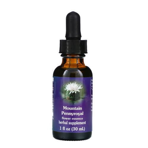 Mountain Pennyroyal Dropper 1 oz by Flower Essence Services