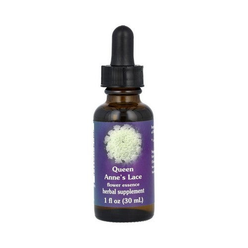 Queen Annes Lace Dropper 1 oz by Flower Essence Services